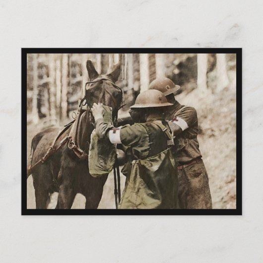 ガスマスクにミズーリのラバ シーズンポストカード (正面)