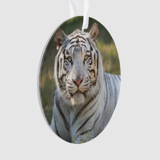 ガス – オーナメント (正面)