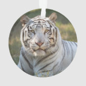 ガス – オーナメント (裏面)