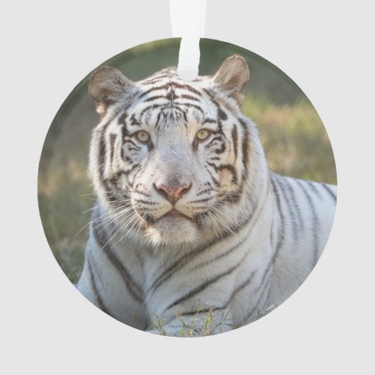 ガス – オーナメント (裏面)