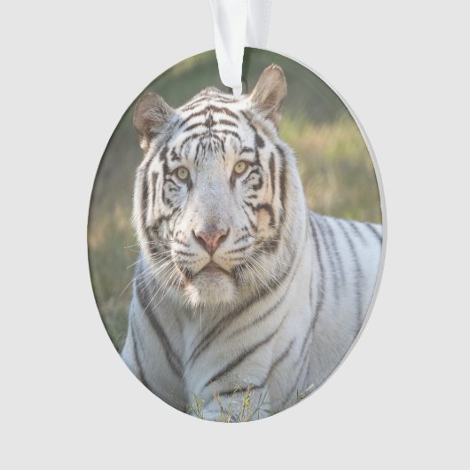 ガス – オーナメント (正面)