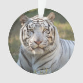 ガス – オーナメント (正面)