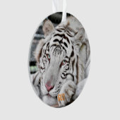 ガス – オーナメント (正面)