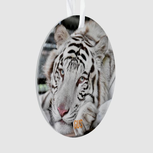 ガス – オーナメント (正面)