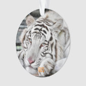 ガス – オーナメント (正面)