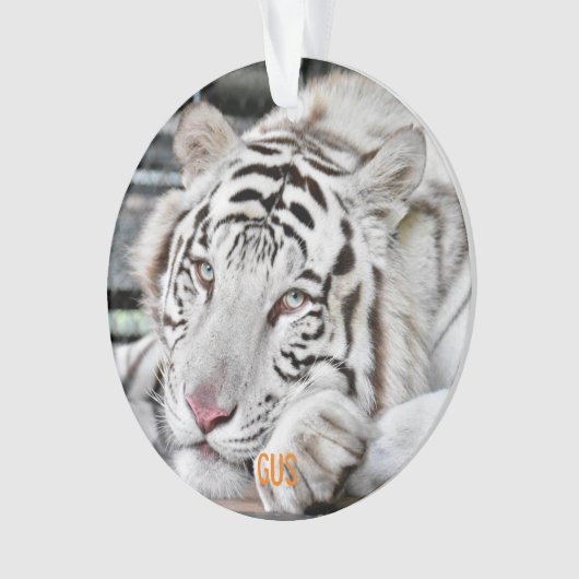 ガス – オーナメント (正面)