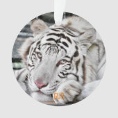 ガス – オーナメント (正面)