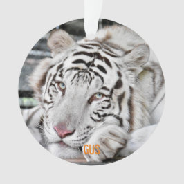 ガス –  オーナメント