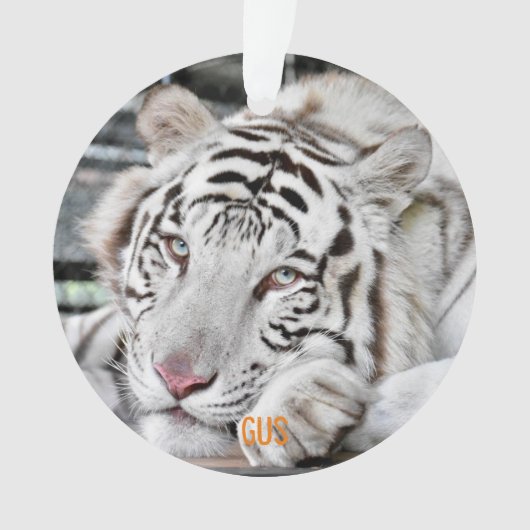 ガス – オーナメント (正面)