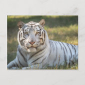 ガス –  ポストカード (正面)