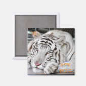 ガス –  マグネット (正面/裏面)