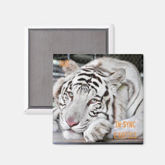 ガス –  マグネット (正面/裏面)