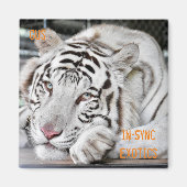 ガス –  マグネット (正面)