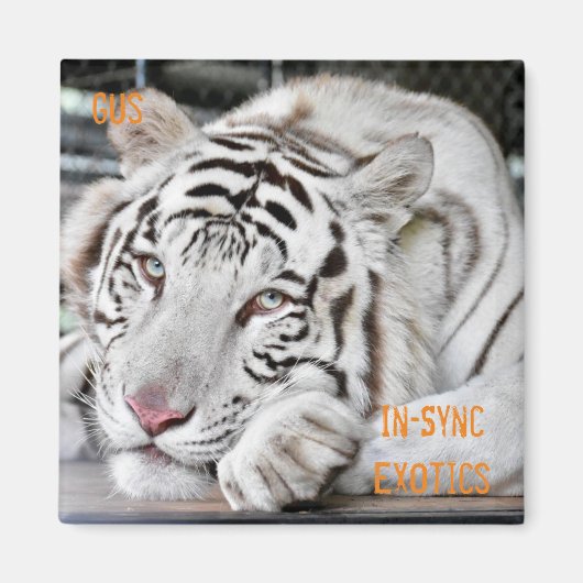 ガス –  マグネット (正面)