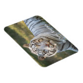 ガス –  マグネット (右側)