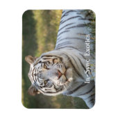 ガス –  マグネット (縦)