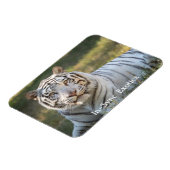 ガス –  マグネット (左側)