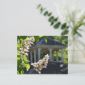 『ガゼボ』はがき ポストカード (スタンド正面)