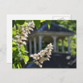 『ガゼボ』はがき ポストカード (正面/裏面)