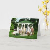 「ガゼボ·ガールズ」の挨拶 カード (黄色い花)