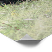 ガゼルとコウノトリの写真 ポスター (角)