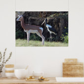 ガゼルとコウノトリの写真 ポスター (キッチン)