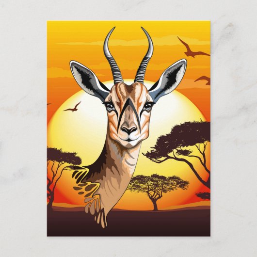 ガゼルアフリカアンテロープ野生動物 ポストカード (正面)