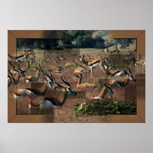 ガゼルプリント ポスター (正面)