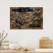 ガゼルプリント ポスター (キッチン)