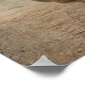 ガゼル ポスター (角)