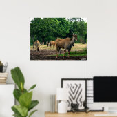 ガゼル ポスター (ホームオフィス)