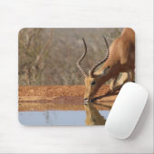 ガゼル マウスパッド (マウス)