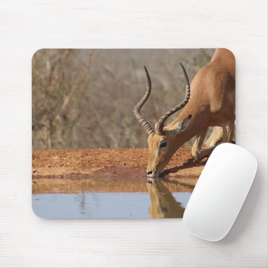 ガゼル マウスパッド (マウス)