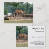 ガゼル,野生動物動物園,羚. 名刺 (正面/裏面)