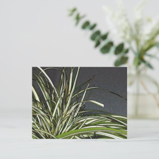 ガタ ポストカード (スタンド正面)