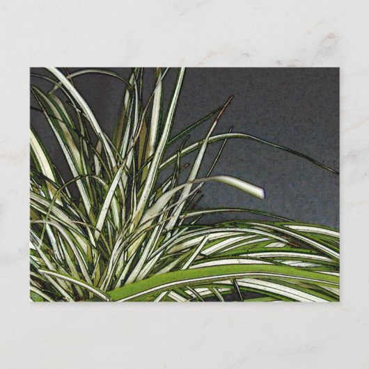 ガタ ポストカード (正面)