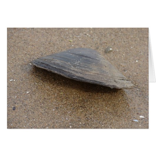 ガチャガチャ言うな (正面横)