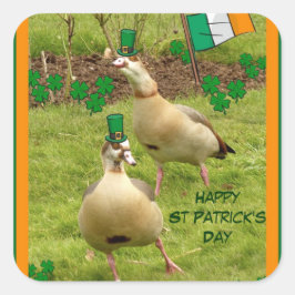 ガチョウがアイルランドの踊り スクエアシール