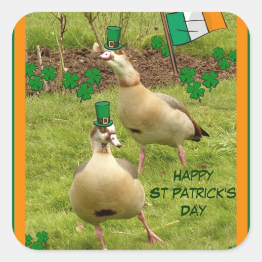 ガチョウがアイルランドの踊り スクエアシール (正面)