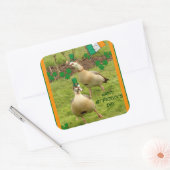 ガチョウがアイルランドの踊り スクエアシール (封筒)