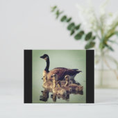 ガチョウとベビーはがき ポストカード (スタンド正面)