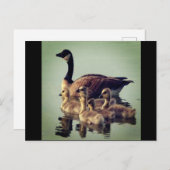 ガチョウとベビーはがき ポストカード (正面/裏面)