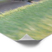 ガチョウとベビー写真ポスター ポスター (角)