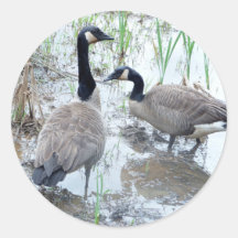 ガチョウのシールを2つ