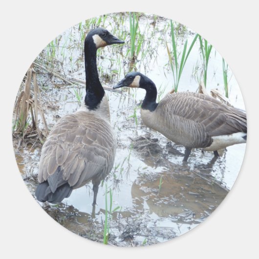 ガチョウのシールを2つ ラウンドシール (正面)