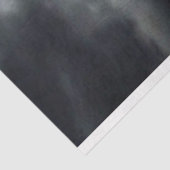 ガチョウのデコペティッシュペーパー 薄葉紙 (詳細)