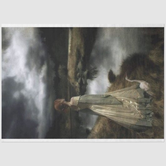 ガチョウのデコペティッシュペーパー 薄葉紙 (正面)