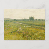 ガチョウの広大な牧草地 ポストカード (正面)