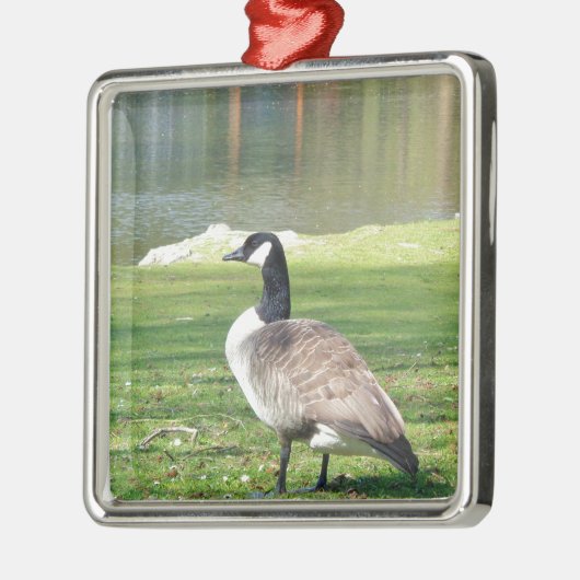 ガチョウの水辺、野生動物、自然 メタルオーナメント (左)