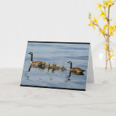 ガチョウの系列との平和な湖場面 カード (黄色い花)